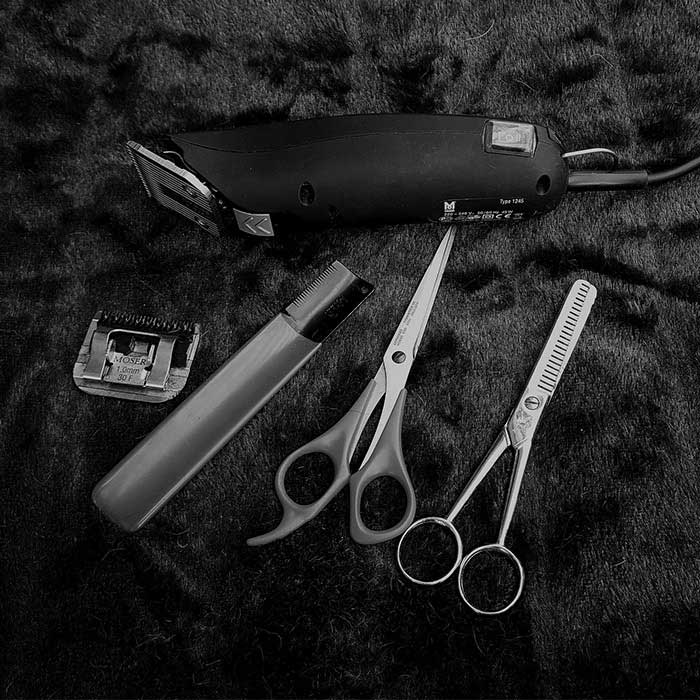 Barbería tradicional con ambiente premium